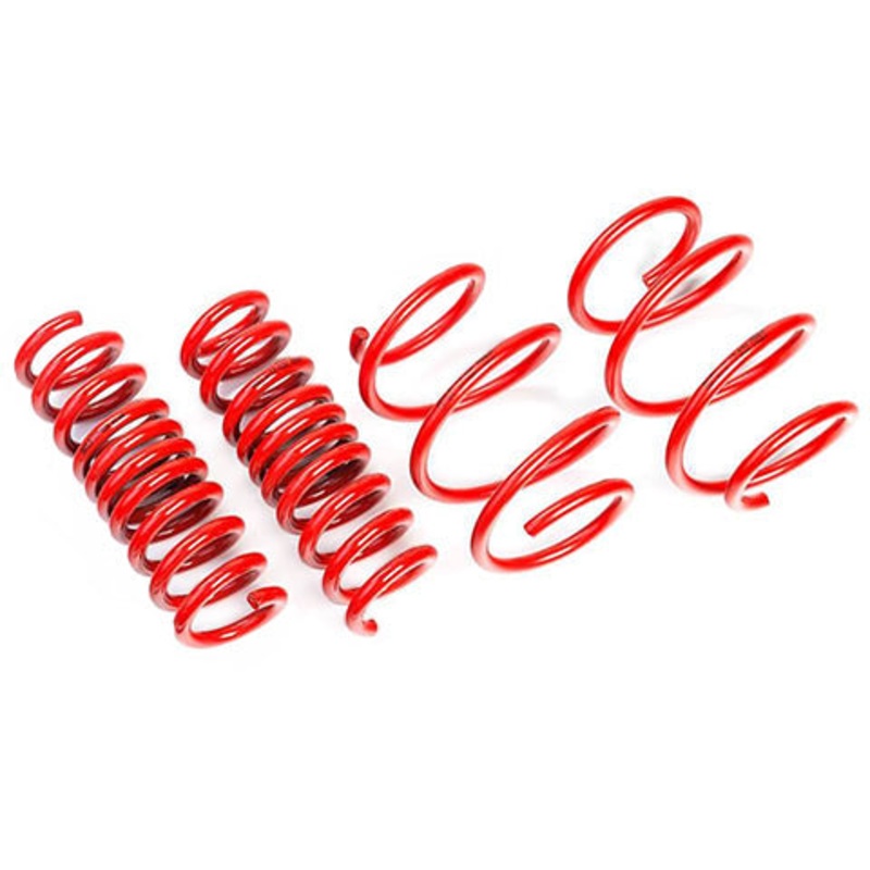 AST Lowering Springs | 2017-2023 Tesla Model 3 AWD Long Range (ASTLS-19-205)