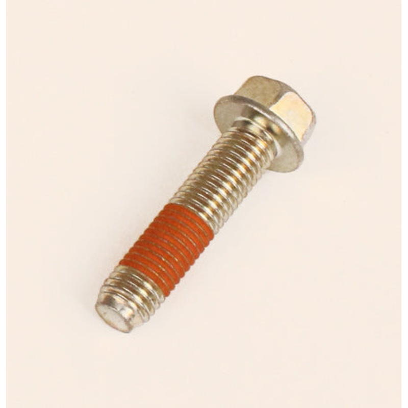 22. 594761 World Formula Crankcase Cover Screw