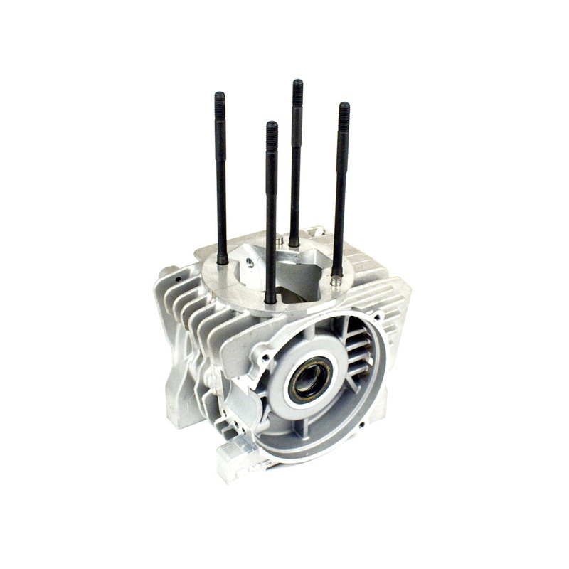 *BLOWOUT SALE* (25A) IA-B-01041 MY09 Leopard Crankcase