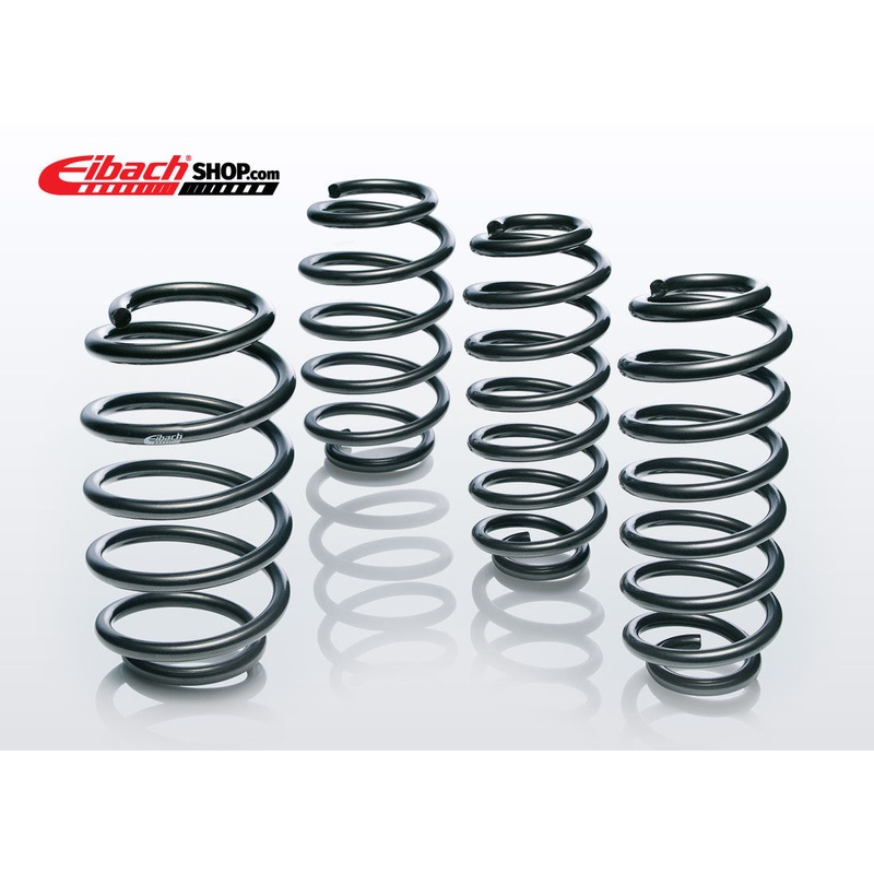 FORD F-150 Eibach PRO-LIFT-KIT Springs (Rear Springs Only)