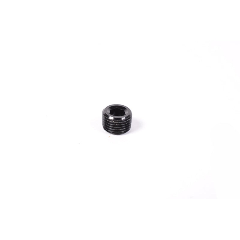 Radium Engineering 1/8in NPT Plug