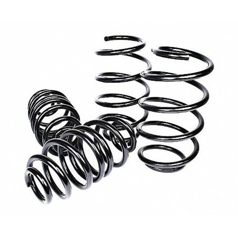 Maptun Performance Lowering Spring Kit 9000
