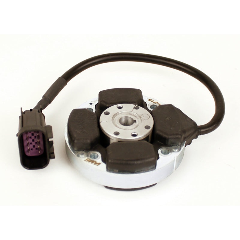 (276A) X30125952A Leopard Stator – PURPLE PIGTAIL
