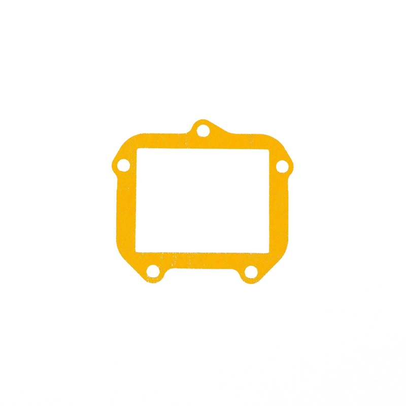 29. 250521 Rotax Reed Cage Gasket