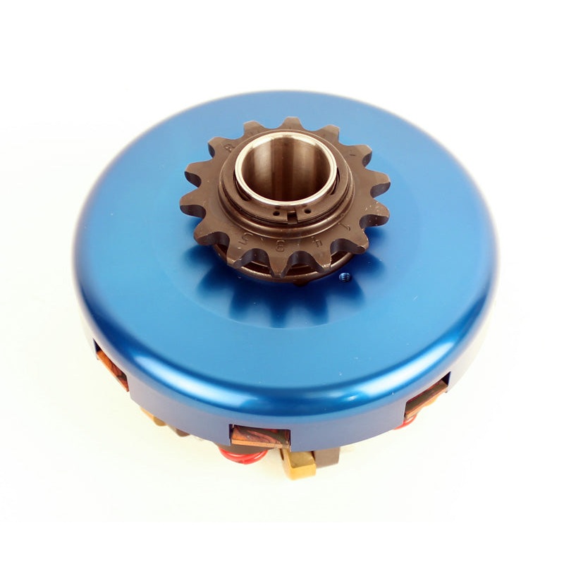 Bully Briggs Clutch 1 Disc 6 Spring