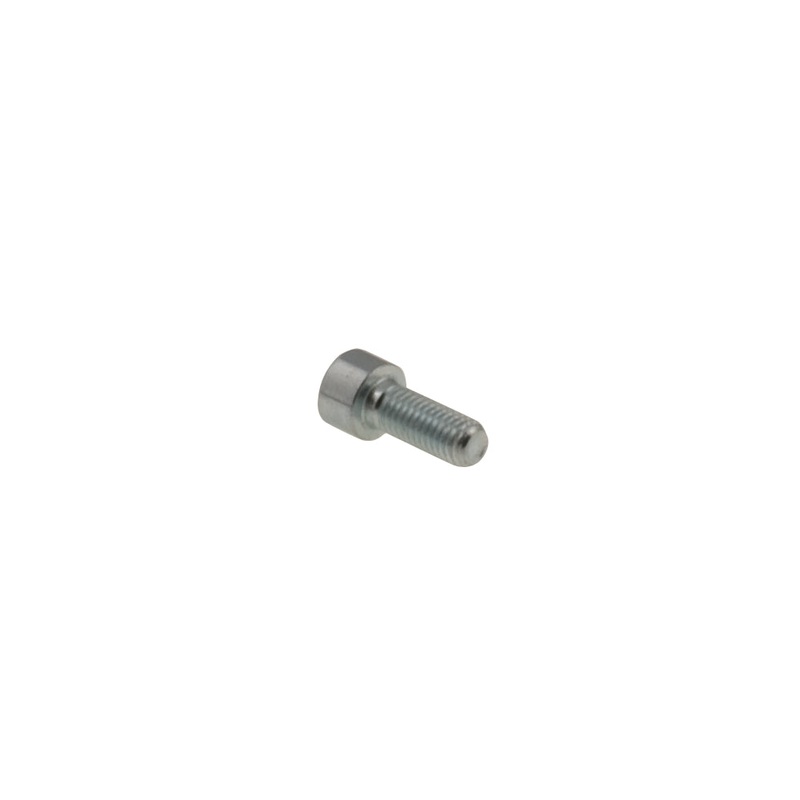 V. V.TCE8X20 Tony Kart OTK M8x20 Socket Head Bolt