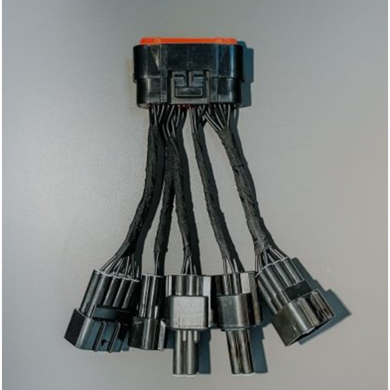 Torp SurRon Light Bee Replacement Wiring Loom