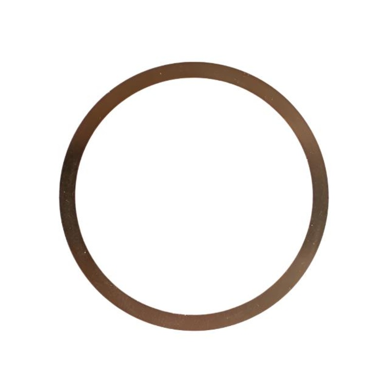 (30) IA-30407 Bearing Shim .10mm Leopard