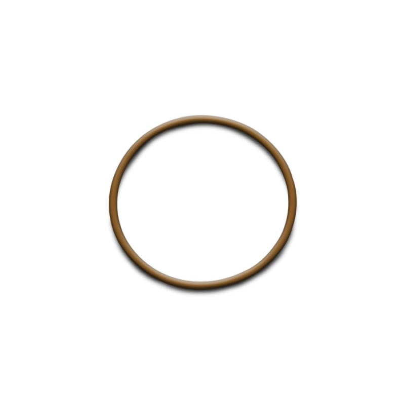 Vibrant Replacement O-Ring for 3in Weld Fittings (Part #12546)